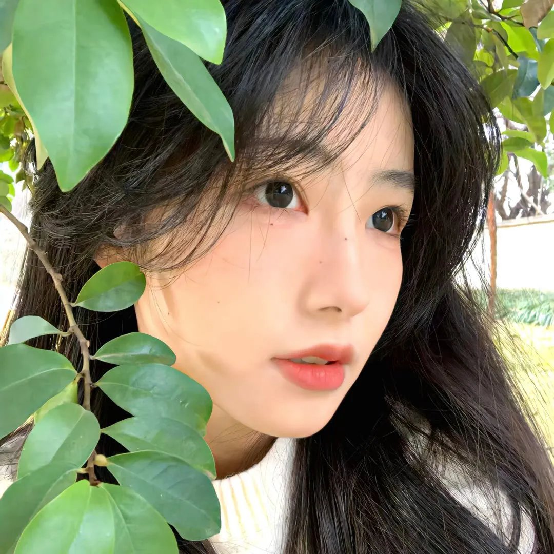 种树的牧羊人